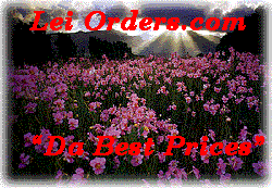 leiOrders